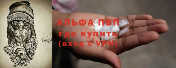 дмт Дмитровск