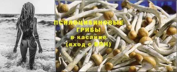 дмт Дмитровск