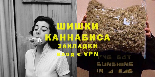 дмт Дмитровск
